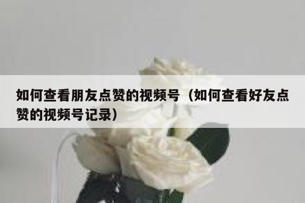 如何查看朋友点赞的视频号(如何查看好友点赞的视频号记录) 第1张 如何查看朋友点赞的视频号(如何查看好友点赞的视频号记录) 第1张