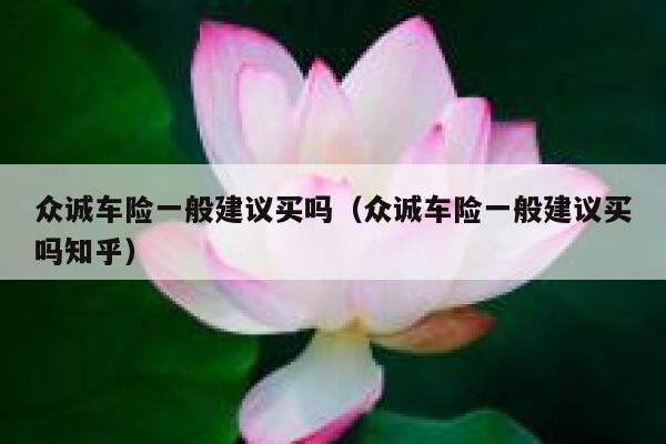 众诚车险一般建议买吗(众诚车险一般建议买吗知乎) 第1张 众诚车险一般建议买吗(众诚车险一般建议买吗知乎) 第1张