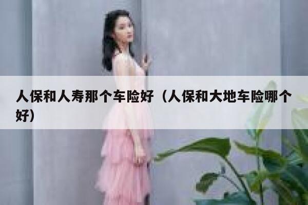 人保和人寿那个车险好（人保和大地车险哪个好） 第1张