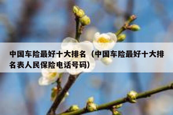 中国车险最好十大排名（中国车险最好十大排名表人民保险电话号码） 第1张