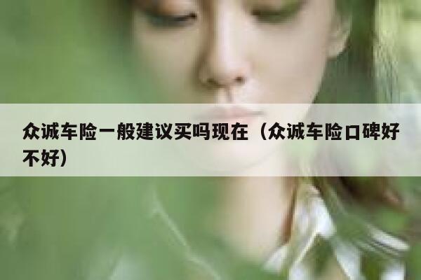 众诚车险一般建议买吗现在（众诚车险口碑好不好） 第1张