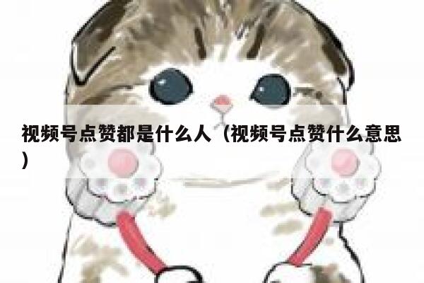 视频号点赞都是什么人(视频号点赞什么意思) 第1张 视频号点赞都是什么人(视频号点赞什么意思) 第1张
