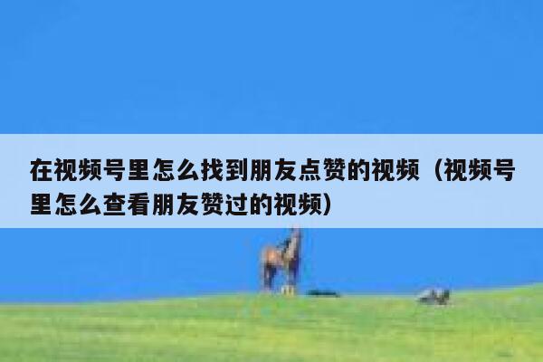 在视频号里怎么找到朋友点赞的视频（视频号里怎么查看朋友赞过的视频） 第1张
