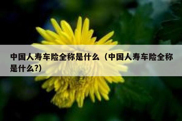 中国人寿车险全称是什么(中国人寿车险全称是什么?) 第1张 中国人寿车险全称是什么(中国人寿车险全称是什么?) 第1张