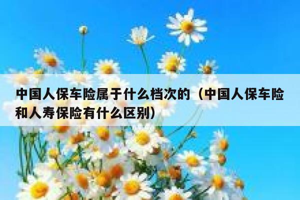 中国人保车险属于什么档次的(中国人保车险和人寿保险有什么区别) 第1张 中国人保车险属于什么档次的(中国人保车险和人寿保险有什么区别) 第1张