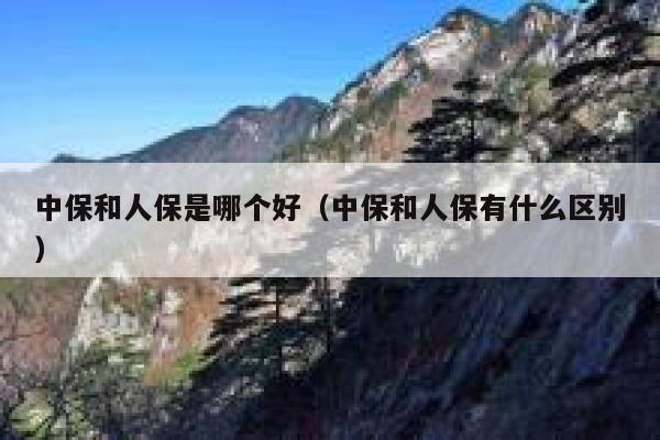 中保和人保是哪个好(中保和人保有什么区别) 第1张 中保和人保是哪个好(中保和人保有什么区别) 第1张
