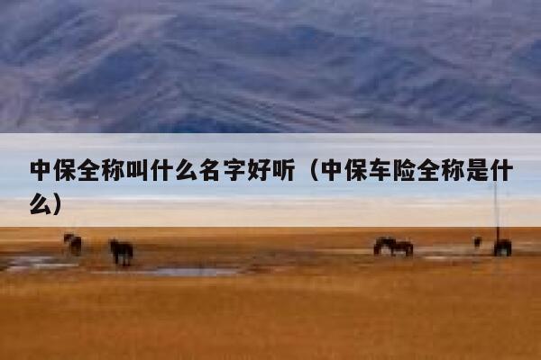 中保全称叫什么名字好听(中保车险全称是什么) 第1张 中保全称叫什么名字好听(中保车险全称是什么) 第1张
