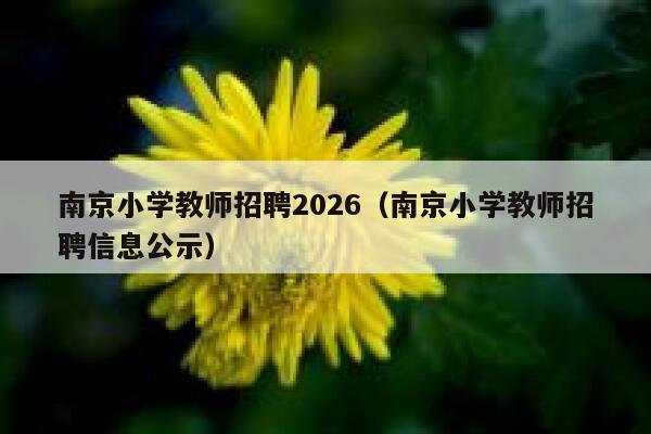 南京小学教师招聘2026(南京小学教师招聘信息公示) 第1张 南京小学教师招聘2026(南京小学教师招聘信息公示) 第1张