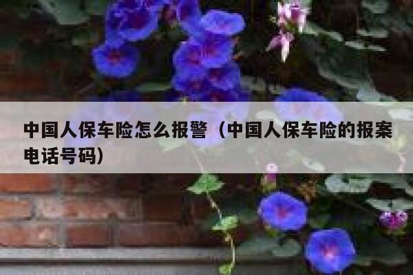 中国人保车险怎么报警(中国人保车险的报案电话号码) 第1张 中国人保车险怎么报警(中国人保车险的报案电话号码) 第1张