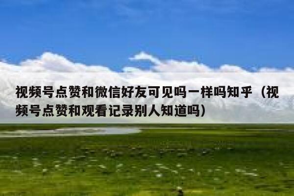 视频号点赞和微信好友可见吗一样吗知乎(视频号点赞和观看记录别人知道吗) 第1张 视频号点赞和微信好友可见吗一样吗知乎(视频号点赞和观看记录别人知道吗) 第1张