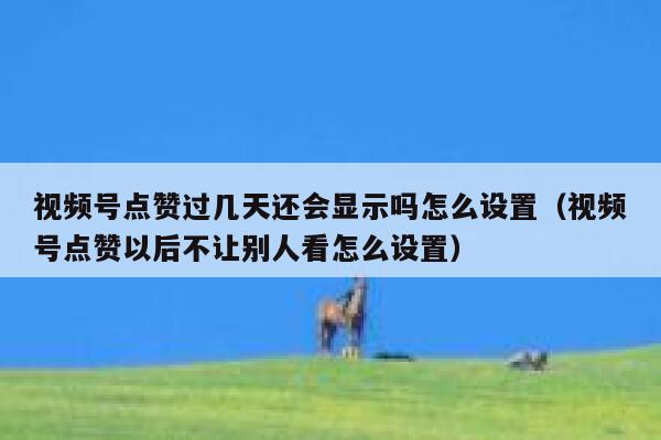 视频号点赞过几天还会显示吗怎么设置(视频号点赞以后不让别人看怎么设置) 第1张 视频号点赞过几天还会显示吗怎么设置(视频号点赞以后不让别人看怎么设置) 第1张