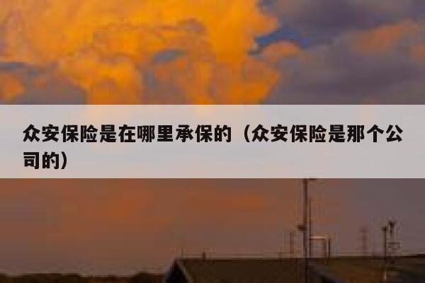 众安保险是在哪里承保的（众安保险是那个公司的） 第1张