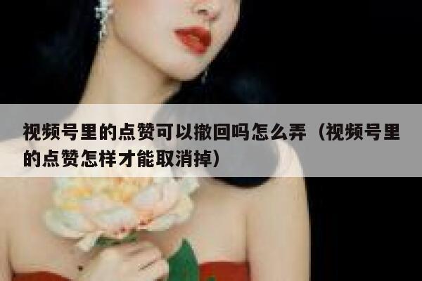 视频号里的点赞可以撤回吗怎么弄（视频号里的点赞怎样才能取消掉） 第1张