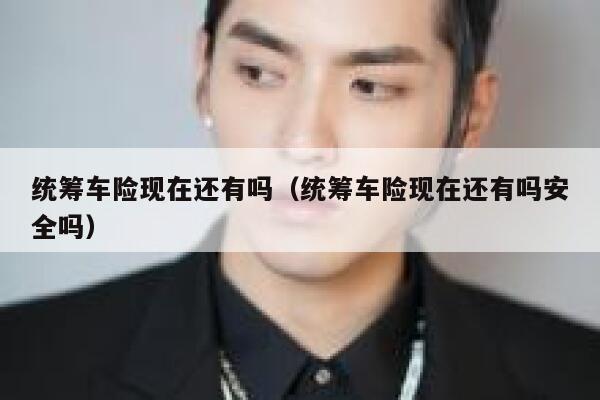 统筹车险现在还有吗(统筹车险现在还有吗安全吗) 第1张 统筹车险现在还有吗(统筹车险现在还有吗安全吗) 第1张