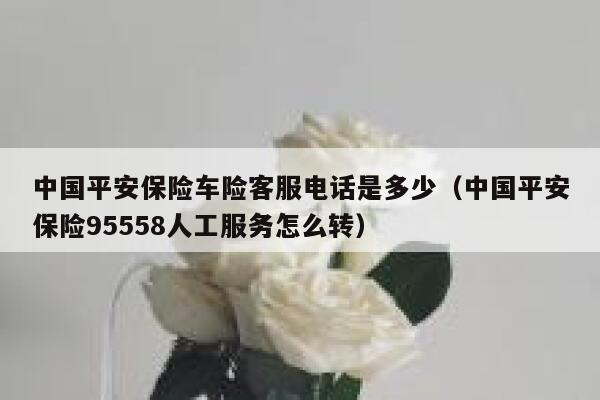 中国平安保险车险客服电话是多少(中国平安保险95558人工服务怎么转) 第1张 中国平安保险车险客服电话是多少(中国平安保险95558人工服务怎么转) 第1张