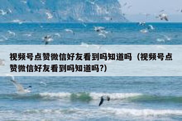 视频号点赞微信好友看到吗知道吗（视频号点赞微信好友看到吗知道吗?） 第1张