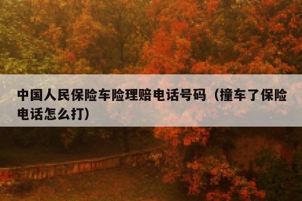 中国人民保险车险理赔电话号码(撞车了保险电话怎么打) 第1张 中国人民保险车险理赔电话号码(撞车了保险电话怎么打) 第1张