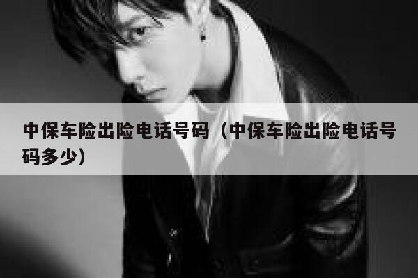 中保车险出险电话号码（中保车险出险电话号码多少） 第1张