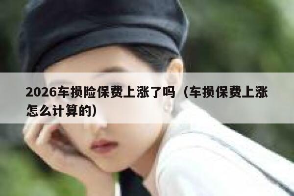 2026车损险保费上涨了吗（车损保费上涨怎么计算的） 第1张