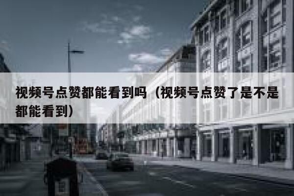 视频号点赞都能看到吗（视频号点赞了是不是都能看到） 第1张