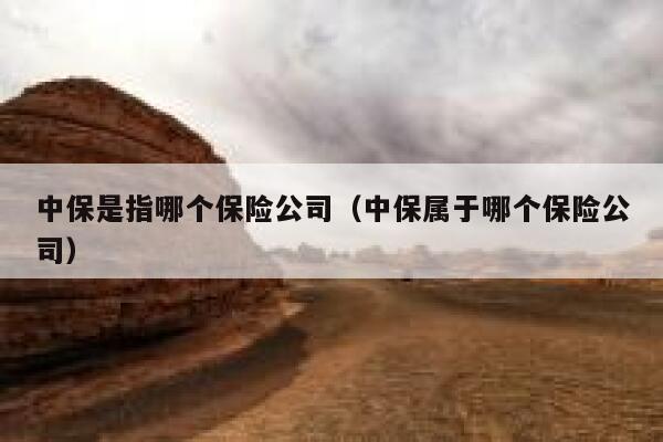 中保是指哪个保险公司（中保属于哪个保险公司） 第1张
