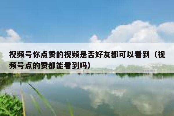 视频号你点赞的视频是否好友都可以看到（视频号点的赞都能看到吗） 第1张