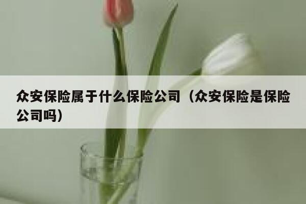 众安保险属于什么保险公司（众安保险是保险公司吗） 第1张