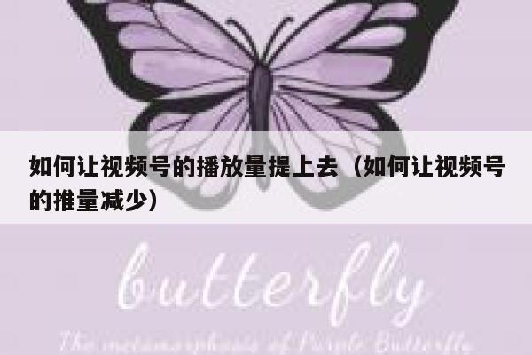 如何让视频号的播放量提上去(如何让视频号的推量减少) 第1张 如何让视频号的播放量提上去(如何让视频号的推量减少) 第1张