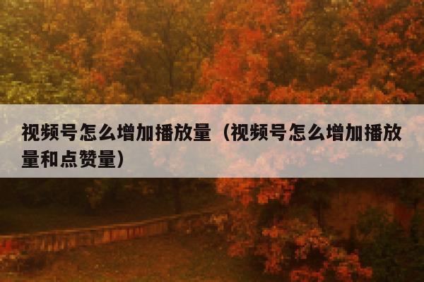 视频号怎么增加播放量（视频号怎么增加播放量和点赞量） 第1张