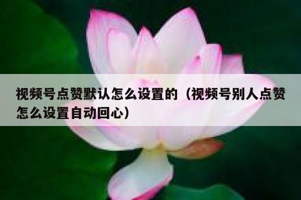 视频号点赞默认怎么设置的(视频号别人点赞怎么设置自动回心) 第1张 视频号点赞默认怎么设置的(视频号别人点赞怎么设置自动回心) 第1张