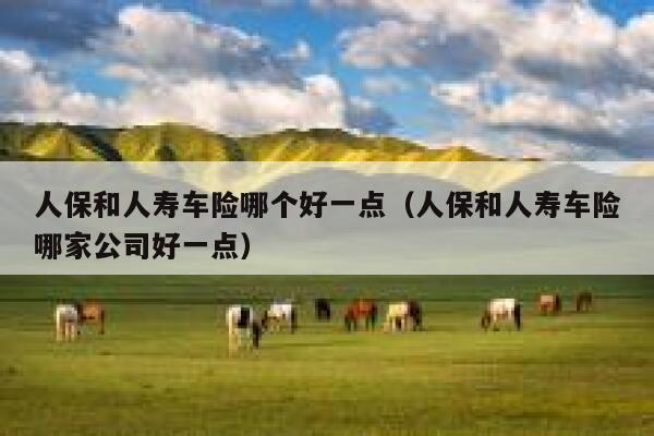 人保和人寿车险哪个好一点（人保和人寿车险哪家公司好一点） 第1张