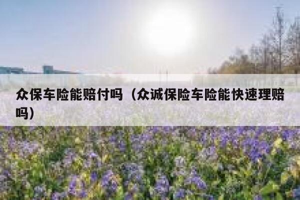 众保车险能赔付吗（众诚保险车险能快速理赔吗） 第1张