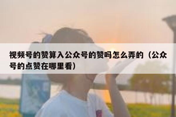 视频号的赞算入公众号的赞吗怎么弄的（公众号的点赞在哪里看） 第1张