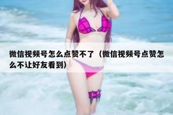 微信视频号怎么点赞不了(微信视频号点赞怎么不让好友看到) 第1张 微信视频号怎么点赞不了(微信视频号点赞怎么不让好友看到) 第1张