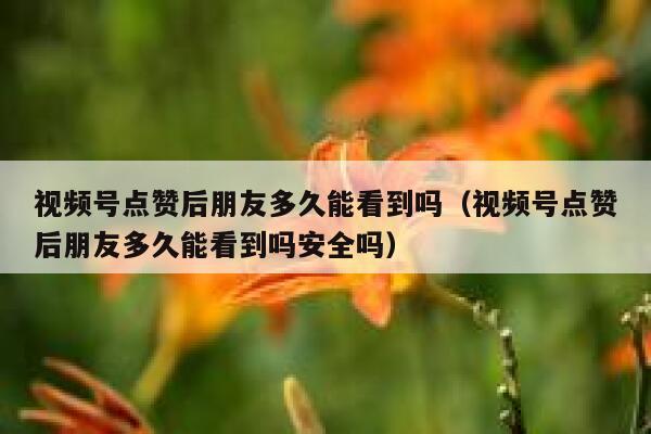 视频号点赞后朋友多久能看到吗(视频号点赞后朋友多久能看到吗安全吗) 第1张 视频号点赞后朋友多久能看到吗(视频号点赞后朋友多久能看到吗安全吗) 第1张