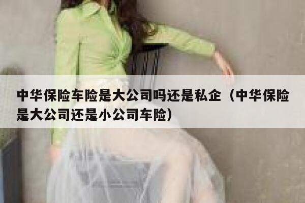 中华保险车险是大公司吗还是私企（中华保险是大公司还是小公司车险） 第1张