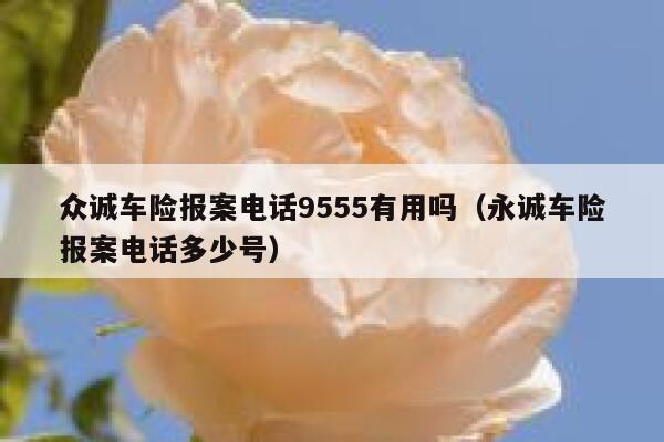 众诚车险报案电话9555有用吗（永诚车险报案电话多少号） 第1张