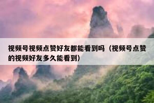 视频号视频点赞好友都能看到吗(视频号点赞的视频好友多久能看到) 第1张 视频号视频点赞好友都能看到吗(视频号点赞的视频好友多久能看到) 第1张