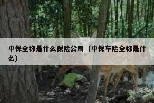 中保全称是什么保险公司(中保车险全称是什么) 第1张 中保全称是什么保险公司(中保车险全称是什么) 第1张