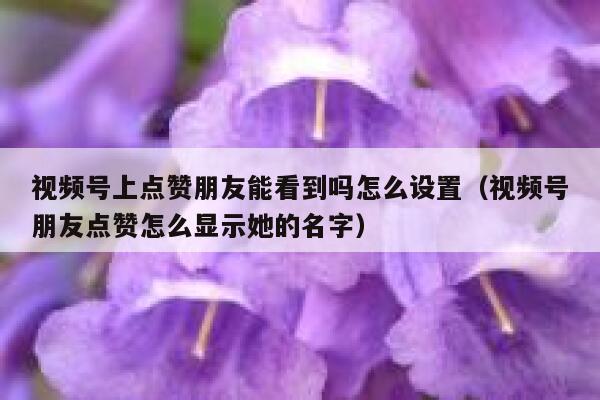 视频号上点赞朋友能看到吗怎么设置(视频号朋友点赞怎么显示她的名字) 第1张 视频号上点赞朋友能看到吗怎么设置(视频号朋友点赞怎么显示她的名字) 第1张