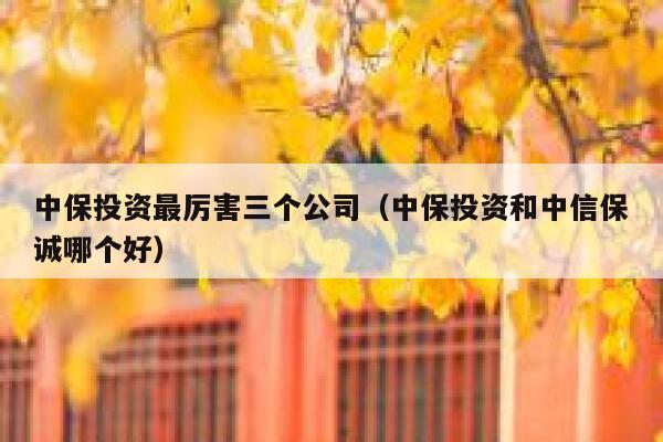 中保投资最厉害三个公司（中保投资和中信保诚哪个好） 第1张