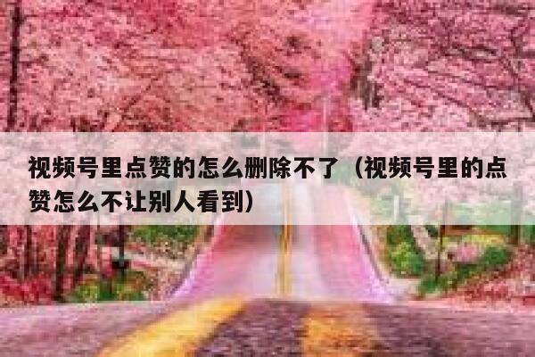 视频号里点赞的怎么删除不了（视频号里的点赞怎么不让别人看到） 第1张