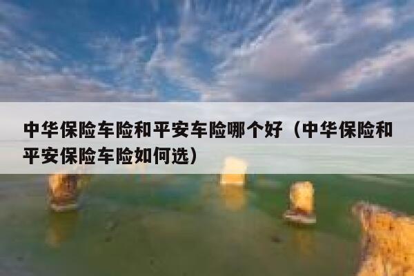 中华保险车险和平安车险哪个好（中华保险和平安保险车险如何选） 第1张