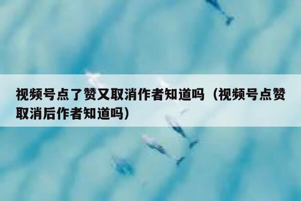 视频号点了赞又取消作者知道吗（视频号点赞取消后作者知道吗） 第1张