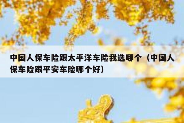 中国人保车险跟太平洋车险我选哪个（中国人保车险跟平安车险哪个好） 第1张