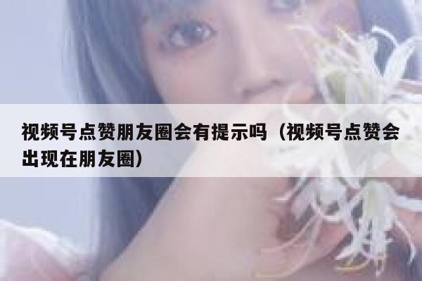 视频号点赞朋友圈会有提示吗（视频号点赞会出现在朋友圈） 第1张