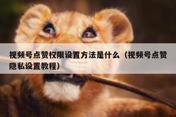 视频号点赞权限设置方法是什么（视频号点赞隐私设置教程） 第1张