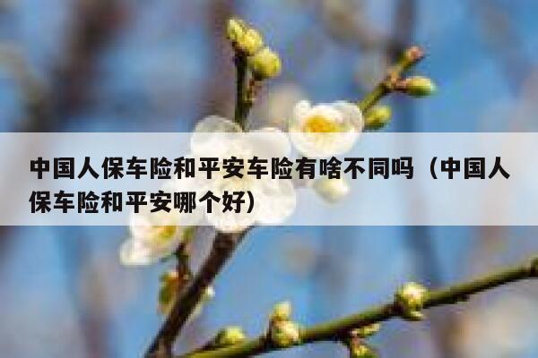 中国人保车险和平安车险有啥不同吗(中国人保车险和平安哪个好) 第1张 中国人保车险和平安车险有啥不同吗(中国人保车险和平安哪个好) 第1张