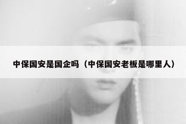 中保国安是国企吗（中保国安老板是哪里人） 第1张