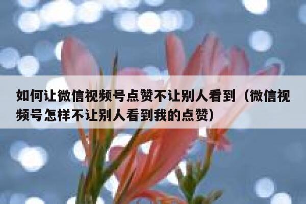 如何让微信视频号点赞不让别人看到（微信视频号怎样不让别人看到我的点赞） 第1张